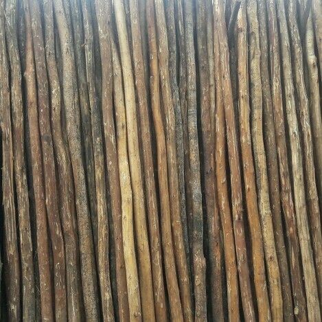 Nilgiri Wooden Shuttering Poles (Teka Balli)