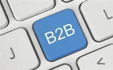B2b Portal Development Service By Nilson Solution