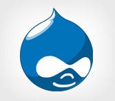 Drupal Development Service Provider