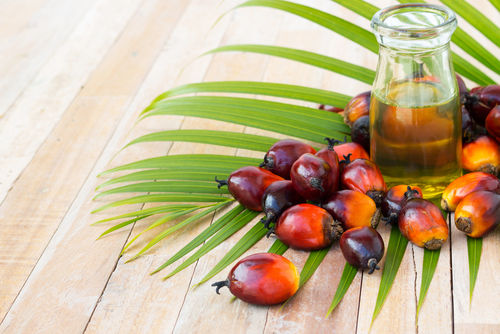 Fresh And Natural Palm Oil