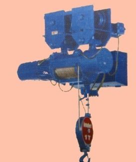 Indef Ton Chain Hoist