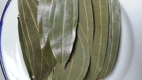 Indian Green Bay Leaves