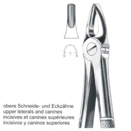 Manual New Stainless Steel Extracting Forceps (English Pattern)