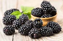 100% Fresh Blackberries