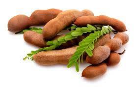 100% Fresh Tamarind