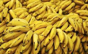 100% Fresh Yellow Banana