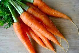 100% Fresh Red Carrot