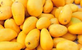 100% Fresh Yellow Mango