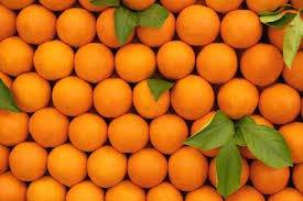 Fresh & Juicy Orange