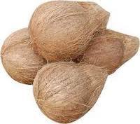 Fresh Indian Semi Husked Coconut