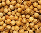 Whole Coriander Seed - Origin Russia, Moisture Content 9-10%, Impurity 2%, Cleanness 98% , Ideal for Culinary Use and Spices Blends