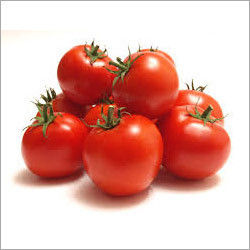 Fresh Organic Red Tomato