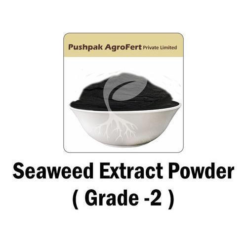 Grade 2 Seaweed Extract Powder