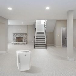 Basement Dehumidifiers