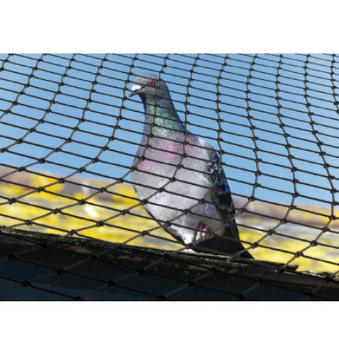 Anti Bird Control Netting