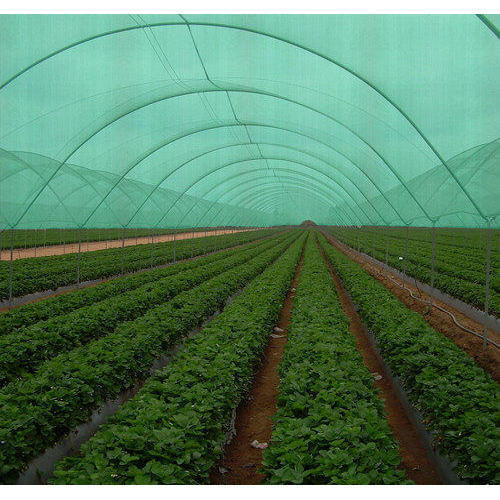 Green Agro Shade Net