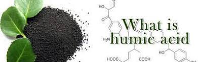 Humic Acid