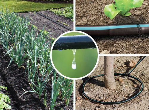 Drip Irrigation Systems