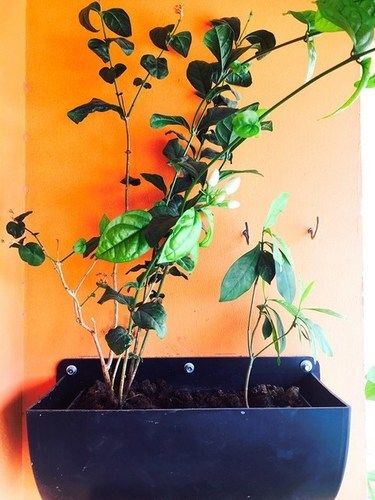 Black High Grade Vertical Garden Vase