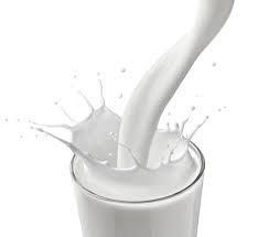 Pure And Fresh Cow Milk