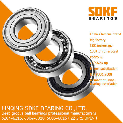 Sdkf 6204 High Speed Motor Deep Groove Ball Bearing Bore Size: 20Mm