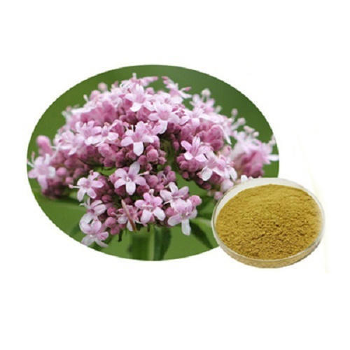 Valerian Officinalis Extract