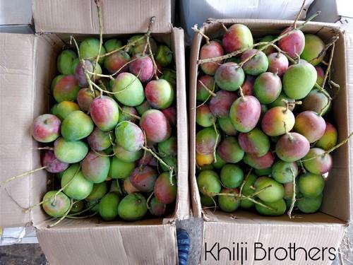 Lalbagh mango