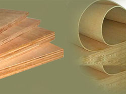 Superior Quality Bwr Plywoods