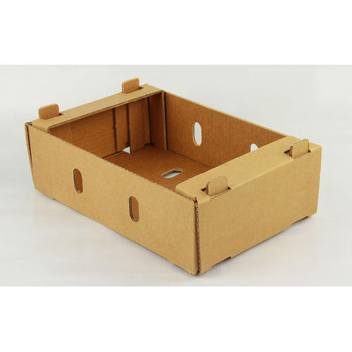 Rectangular Fruit Carton Box