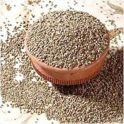 Best Quality Bajra Seeds