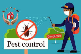 Pest Control Service By HERBAL PEST CONTROL SERVICE