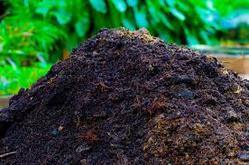 Compost Fertilizer (City Compost)