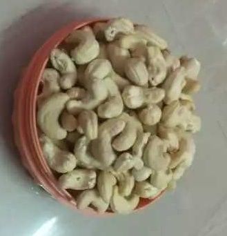 Fresh And Nutritious Cashew Nut