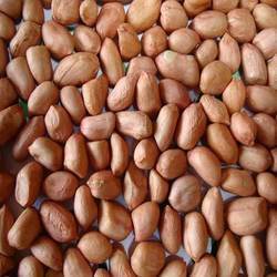 High Quality Groundnut Seeds 