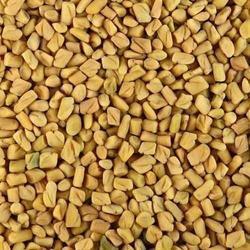 Organic Yellow Sesame Seeds