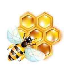 High Quality SIDR Honey