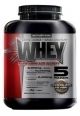 Scivation Whey Protein