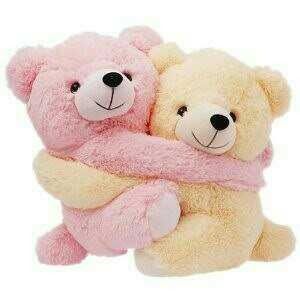 Soft Customized Teddy Bears