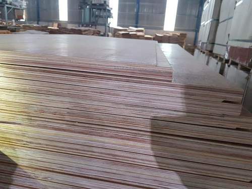 Container Flooring Plywood (28Mm/ 21 Ply) Core Material: Harwood