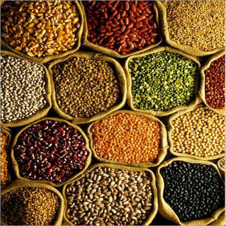 Highly Nutritional Organic Pulses