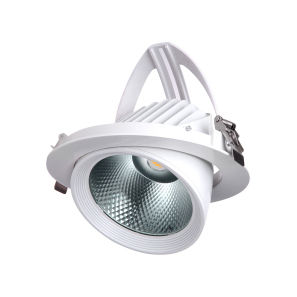 Carol Recessed Ceiling Light