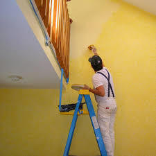Professional Painting Contractor By NIKHIL AGENCY