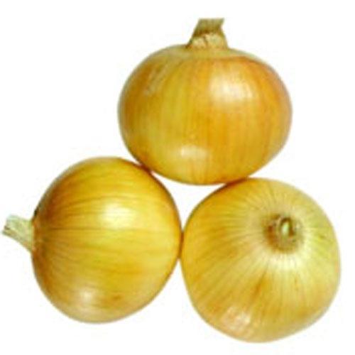 Fresh Healthy Yellow Onion