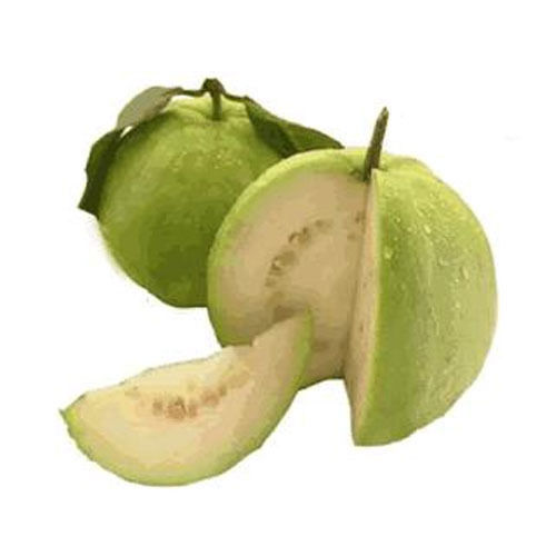 Green Highly Nutritional Fresh Guava