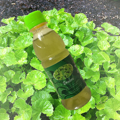 Pure Green Brahmi Juice