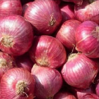 Rich In Vitamin Red Onion