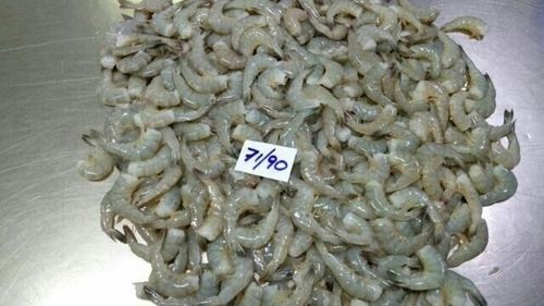 Frozen Vannamei Shrimps HLSO