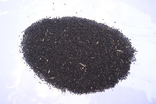 Tukmariya Ocimum Basilicum Seeds