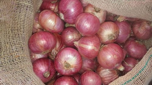 Natural Fresh Red Onion