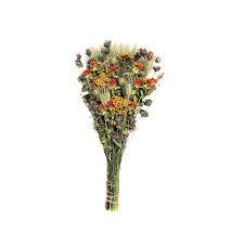 Best Quality Dried Flowers